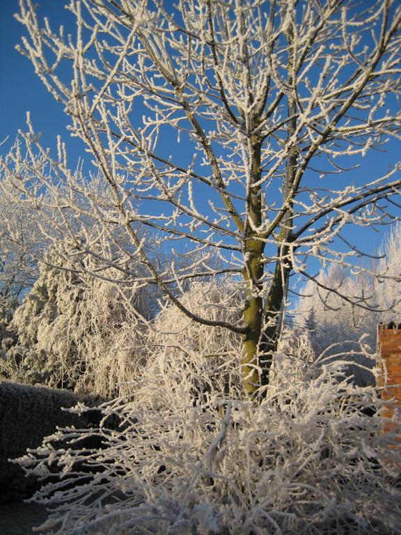 B&B Het Uilennest Bocholt Exterior photo